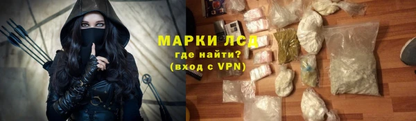 гидра Новозыбков