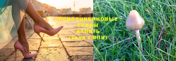 гидра Новозыбков