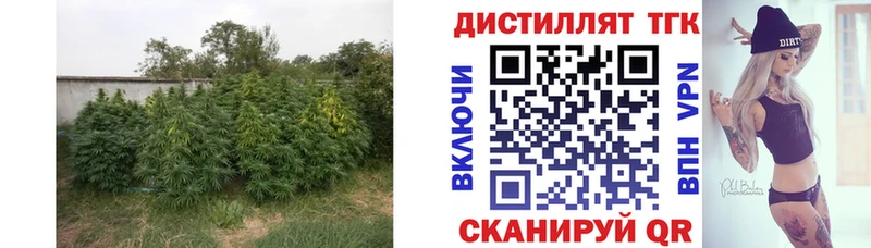 ТГК гашишное масло  Мыски 