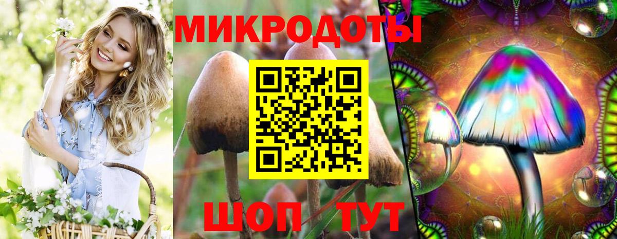 Мыски  Псилоцибиновые грибы мухоморы  Вход с VPN  Галлюциногенные грибы Psilocybine cubensis 